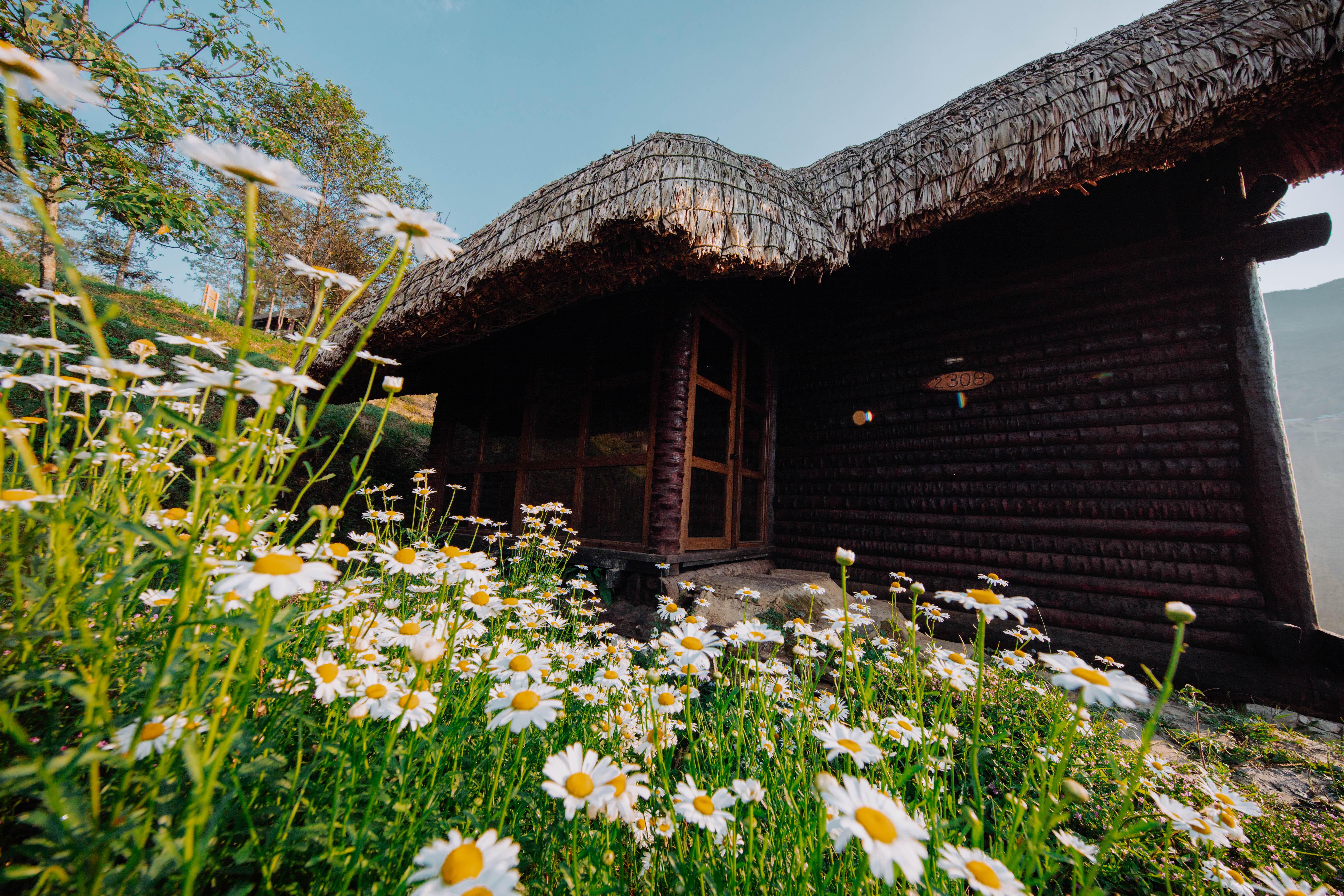 Sapa Jade Hill Resort & Spa Exterior photo